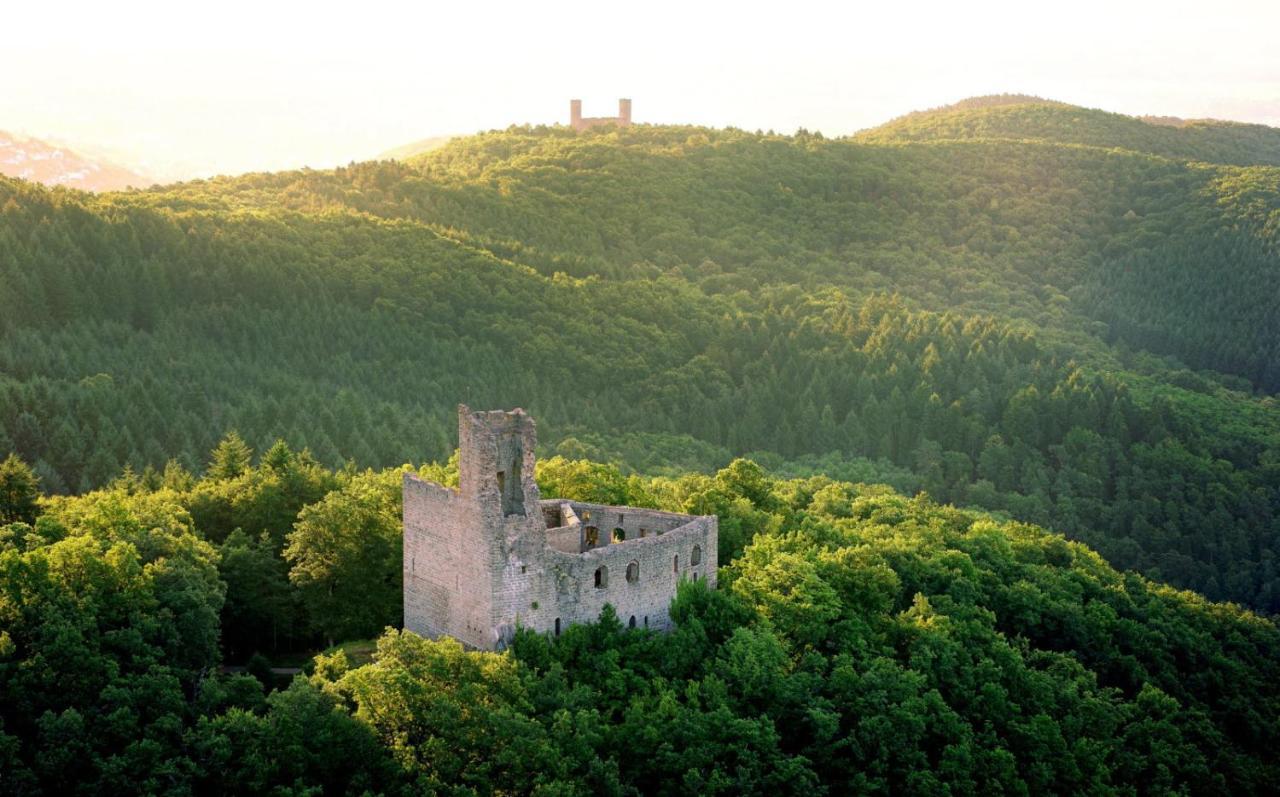 La Curiosite - Appartement 2 Chambres A Barr, Route Des Vins D'Alsace ภายนอก รูปภาพ