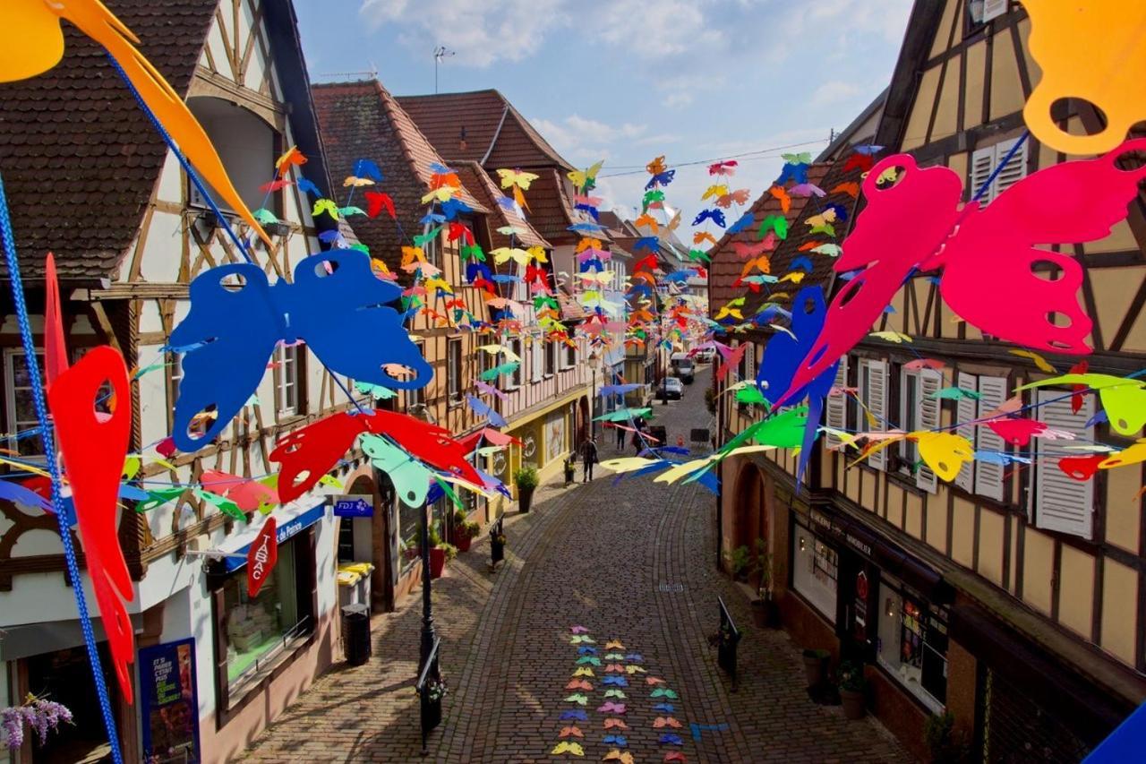 La Curiosite - Appartement 2 Chambres A Barr, Route Des Vins D'Alsace ภายนอก รูปภาพ